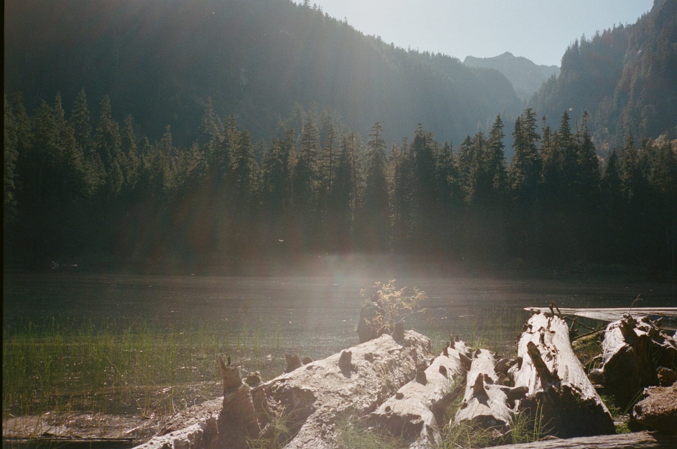 Mountain lake with driftwood